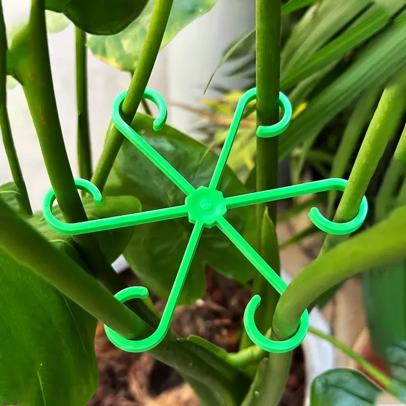 Flower Plant Stem Support Stak - Supply For Florist 评论和价格