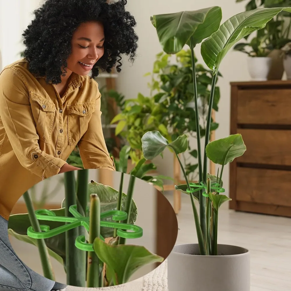 Flower Plant Stem Support Stak - Supply For Florist 评论和价格