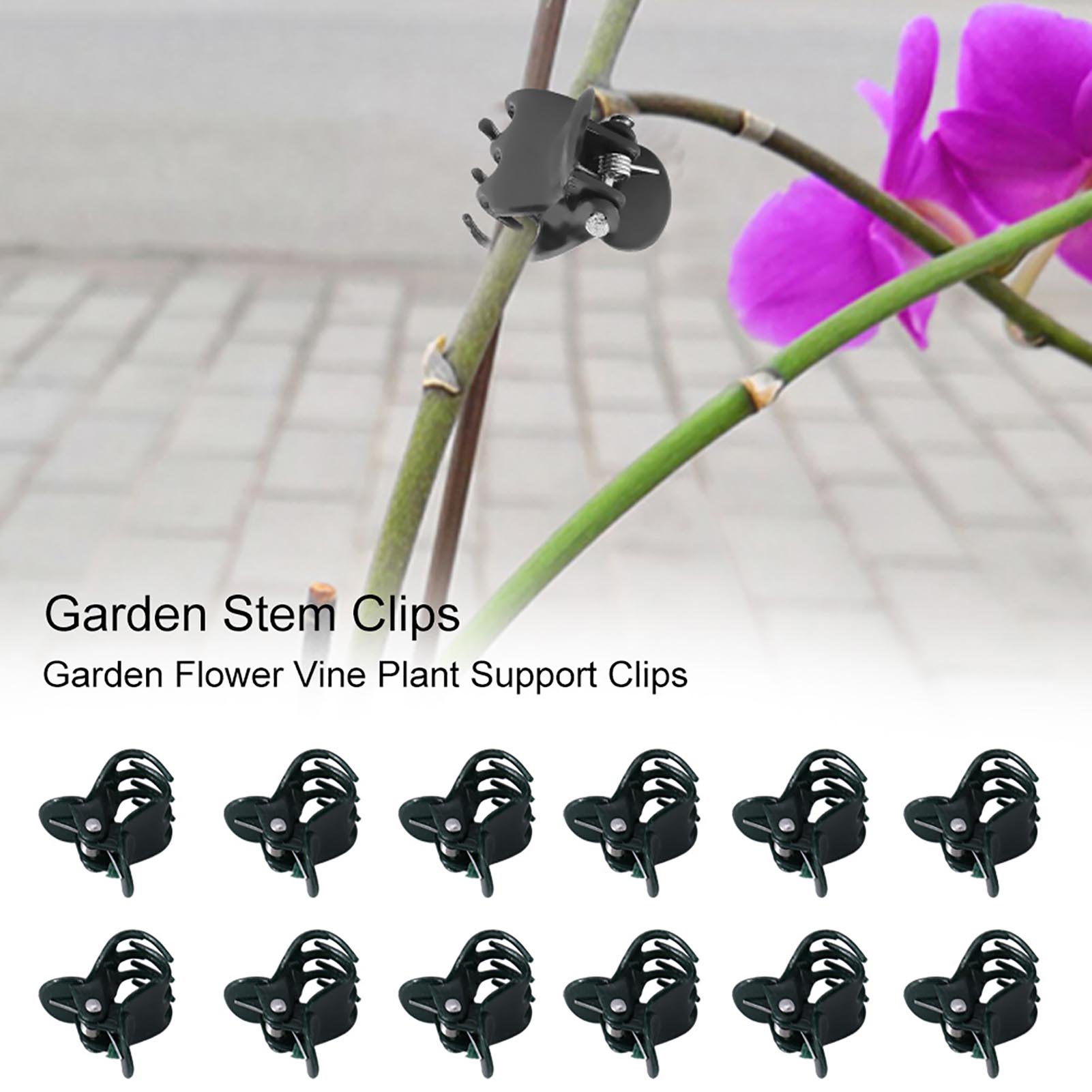 100pcs Mini Plant Clips Garden - Supply For Florist 评论和价格
