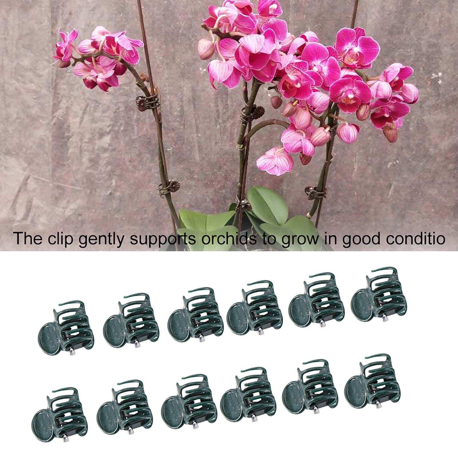 100pcs Mini Plant Clips Garden - Supply For Florist 评论和价格