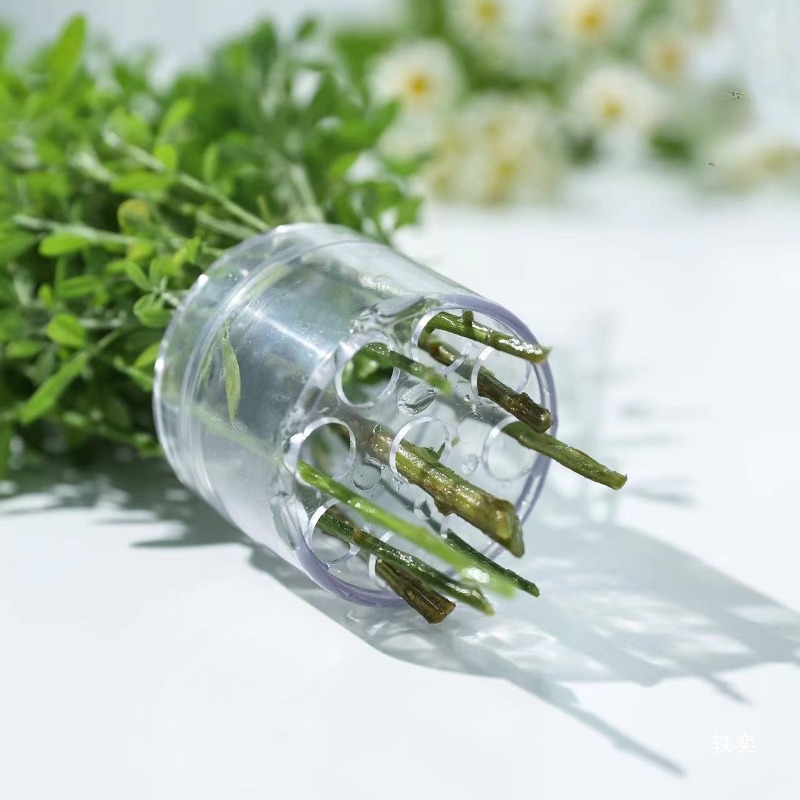 Spiral Stem Holder Sturdy Clea - Supply For Florist 评论和价格